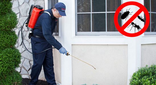 Alaçam Kene İlaçlama böcek ilaçlama ve haşere kontrolü — ilaclama-tr.com